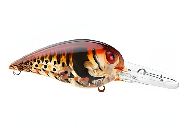 Storm Wiggle Wart