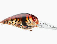 Storm Wiggle Wart