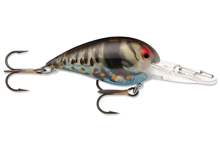 Storm Wiggle Wart