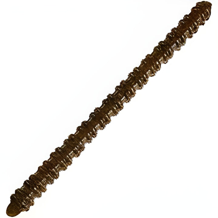 Zoom Centipede Finesse Worm, 4", 20 Pack