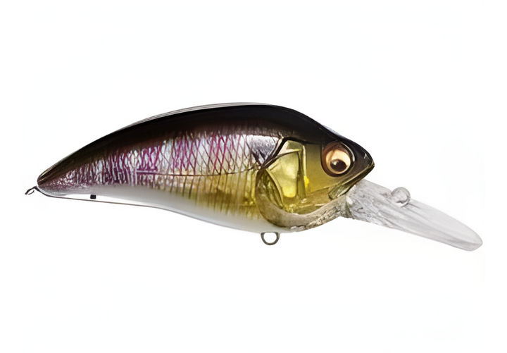 MEGABASS SUPER Z- Z2